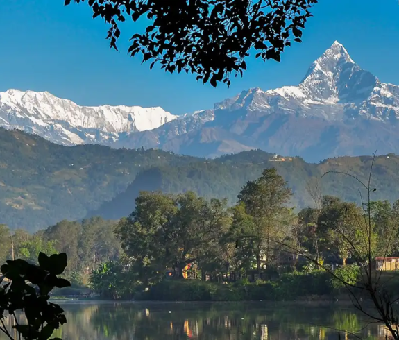 Nepal Adventure .webp